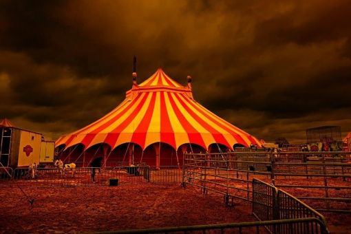 A Dive into all Things Circus