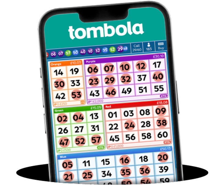 Example of bingo 60 game in mobile view