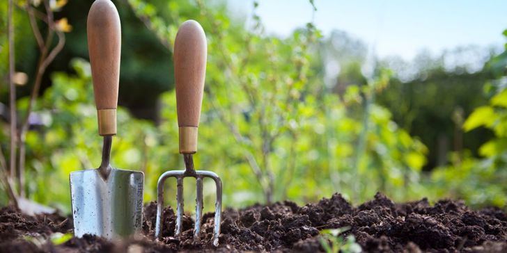 Top gardening tips