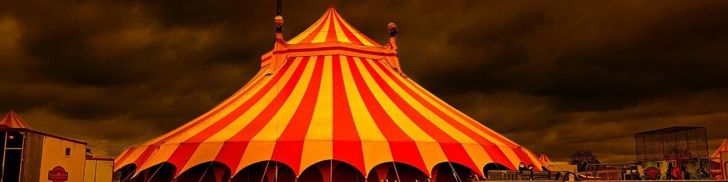 A Dive into all Things Circus