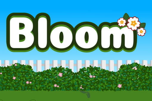 Bloom